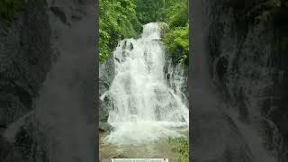 Bamanbudo waterfalls Goa waterfall goa [upl. by Hsirt]