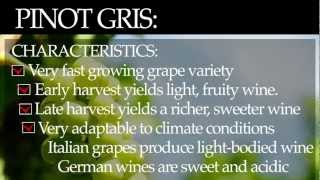 Pinot Gris [upl. by Whitehouse829]