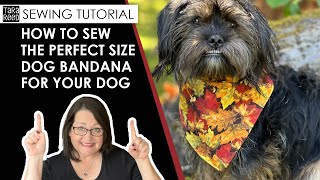 🧵 🐶 How to Sew the Perfect Sized Bandana for Your Dog  DIY Dog Bandana tutorial [upl. by Naasar]