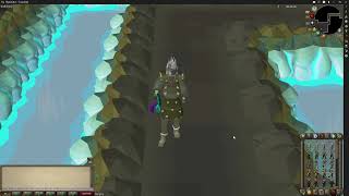 IS WYRMS WORTH IT  Old School Runescape [upl. by Sidoney]