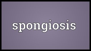 Spongiosis Meaning [upl. by Einaffyt]