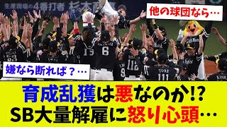 【どっちが正しい？…】ソフトバンクの大量解雇で球団方針に疑問符！？ 育成契約選手乱獲による副作用か？… [upl. by Irrej326]