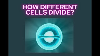 Mitosis and Meiosis  Cell Division in Living Things [upl. by Aubine315]