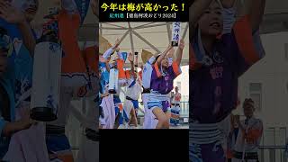 今年は梅が高かった❗紀州連【徳島市阿波おどり2024】Awa Dance [upl. by Filbert359]