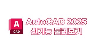 오토캐드 2025의 주요 사항 정리 AutoCAD 2025 신기능 소개 [upl. by Brunn994]