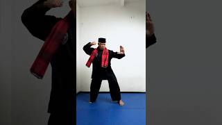 The Dance of Blades Mastering Silat Movements martialarts silat SelfDefense [upl. by Kwarteng]