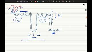 Antidiabetic Drugs P1 [upl. by Yam]