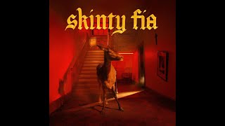 Fontaines DC  Skinty Fia Full Album 2022 [upl. by Morocco]