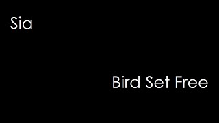 Sia  Bird Set Free lyrics [upl. by Nahtnoj]