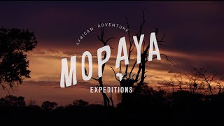 Travel film  Botswana safari with Mopaya Expeditions [upl. by Aidyl454]