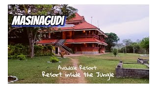 Masinagudi Town  Avadale Resort  Jungle Resorts Resorts near Ooty [upl. by Cherey]