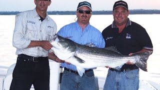 Striped Bass Fishing  Western Long Island Sound NY Preview [upl. by Tome]