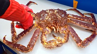 Special skill！Giant King Crab cutting Master Luxurious sashimi Crab fried rice巨大帝王蟹切割大師奢華蟹腳蟹膏炒飯 [upl. by Nivrac765]