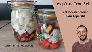 Lactofermentation pour lapéritif [upl. by Atirhs]