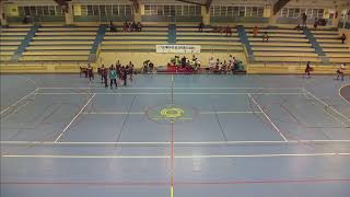 HANDBALL  GAULOISE DE TRINITE VS SC LAMENTINOIS [upl. by Ahsoyem]