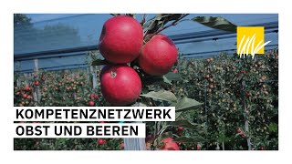 Kompetenznetzwerk Obst und Beeren SOV [upl. by Nyrroc]