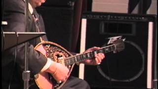 Greek bouzouki virtuoso G Stambourlos  Side CU  Hassapiserviko 9 [upl. by Ivah]