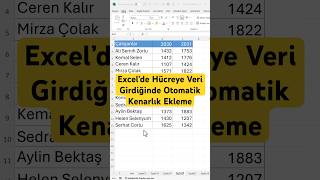 Excel’de Hücreye Veri Girdiğinde Otomatik Kenarlık Ekleme excel exceldersleri excelformülleri [upl. by Gardia]