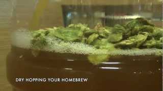 Homebrew HowTo Dry Hopping Your Beer [upl. by Anwaf]