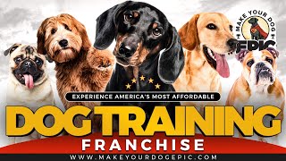 Dog Training Franchise  Do You Train Young Dogs [upl. by Paehpos]