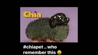 chia pet 80s throwback commercials retro [upl. by Naesyar]