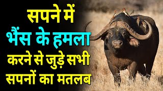 Sapne me Bhains ka Hamla karna  Buffalo Attack in dream  Sapne me Bhains ka Takkar marna [upl. by Lleroj876]