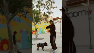 Featuring Beignet dripping in Finesse dog dance finesse beignet dancechallenge fyp viralvid [upl. by Ithaman]