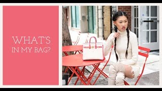 WHATS IN MY BAG BIRKIN  JAIME XIE [upl. by Assir]