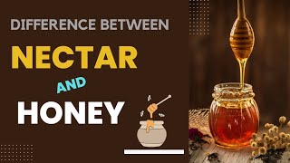 मधुरसनेक्टर व शहद में क्या अंतर है What is the difference between honey and nectar [upl. by Siroled]