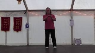 Shibashi III  Taiji Qigong 3rd set [upl. by Coonan]