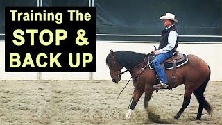 How to Train Your Horse to Stop amp Back Up  Reining amp Cutting Horse Stop [upl. by Clio]