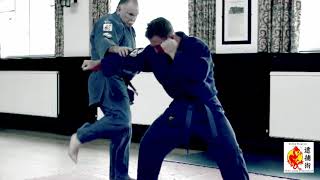 United Kingdom Taiho Jutsu Association  Techniques 2A [upl. by Venus]