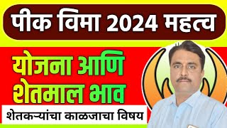 pik vima last date  पीक विमा 2024  शेतमाल भाव [upl. by Miltie742]