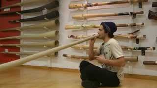 Italian Didgeridoo Player William  Spirit Gallery [upl. by Menell539]