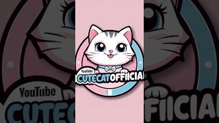 Cute cats happy video [upl. by Tadich]