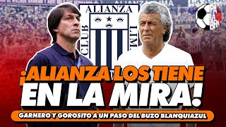 ¡ALIANZA LOS TIENE EN LA MIRA  PALABRA DE HINCHA [upl. by Nelluc635]