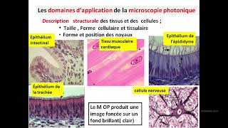 Cytologieبالعربية  2 Les méthodes détude de la cellule  Part 1 les microscopes photoniques [upl. by Ahsikad]