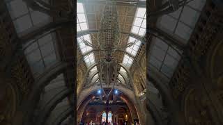 Hintze Hall London Natural History Museum [upl. by Ellehcil]