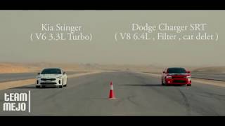 كيا ستينقر ضد تشارجر اس ار تي  KIA Stinger VS Dodge Charger SRT [upl. by Enad589]