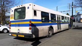 TransLink 1996 New Flyer D40LF V7213 Engine Start and Takeoff [upl. by Eyot]