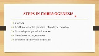 EMBRYONIC DEVELOPMENT IN INSECTS [upl. by Corrie]