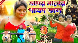 Badal Pal Natun Gaan 2024  ভদর মাসে পাকা তাল  BadalPaul  Badal Pal New Purulia Song 2024 [upl. by Ecnaret]