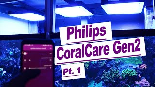 Philips CoralCare Gen2  First Look at a New Reef LED Light [upl. by Naida]