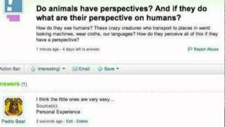 Trolling Yahoo Answers [upl. by Lasley]