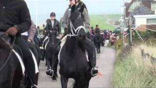 Ruim 300 Friese paarden op het strand Julianadorp az  Huisduinen vv [upl. by Mirilla]