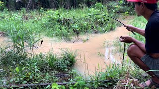 BAHAYA SANGKING ASIK NYA MANCING IKAN LELE LIAR SAMPAI NGGAK SADAR ADA ULAR PITON DI ATAS KEPALA [upl. by Pachston]