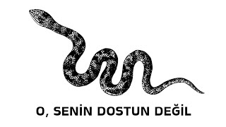 O Senin DOSTUN değil  Toksik Kişi  3 dk anlattım [upl. by Wina]