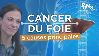 Questce qui provoque le cancer du foie  Quelles sont les causes [upl. by Repsag]