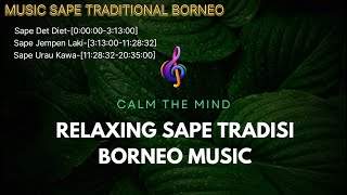 Relaxing Music SAPE Traditional BORNEO 2024 [upl. by Goran122]