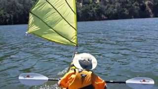 Kayak Sailing with Home made DIY Sail upwind capable  Del Valle [upl. by Trenna]